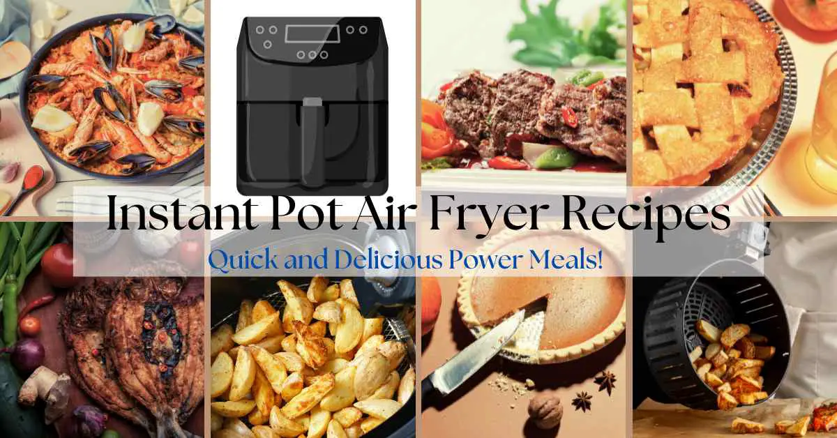 Instant Pot Air Fryer Recipes: Quick And Delicious Power Meals!