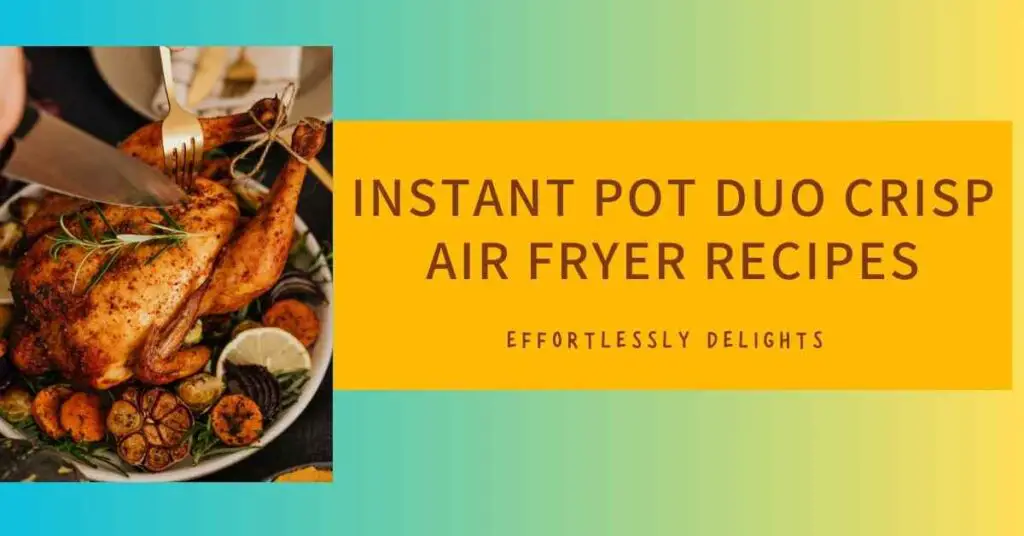 Instant Pot Duo Crisp Air Fryer Recipes