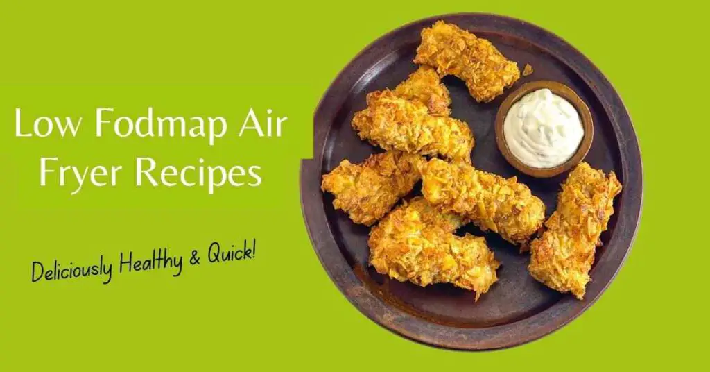 Low Fodmap Air Fryer Recipes